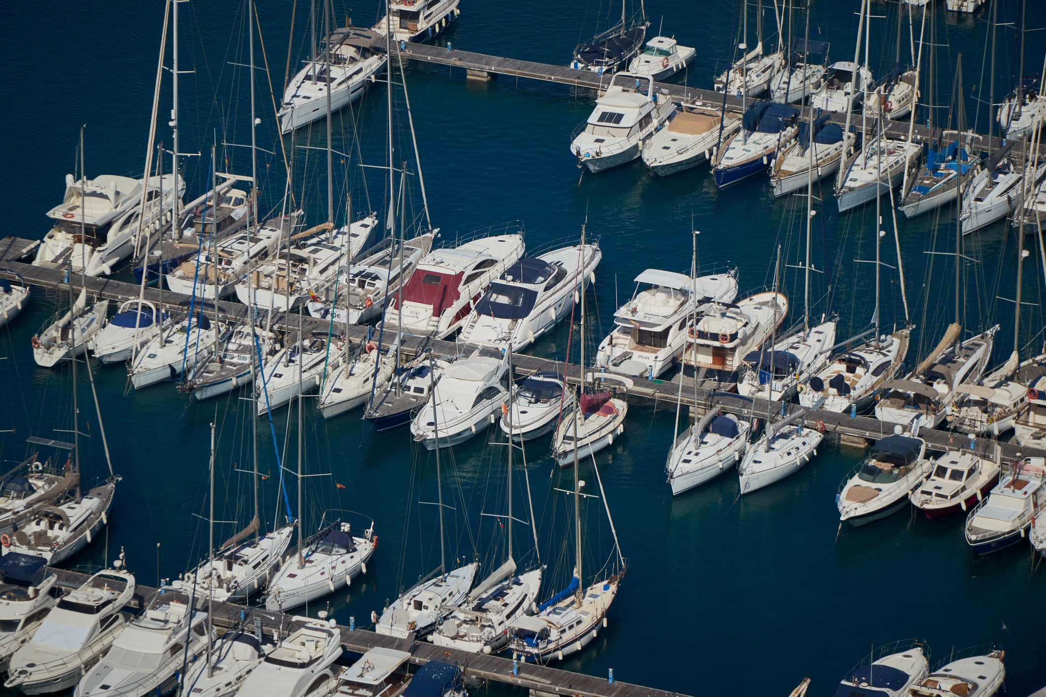 Low Angle View of Recreational Boats in the Harbor