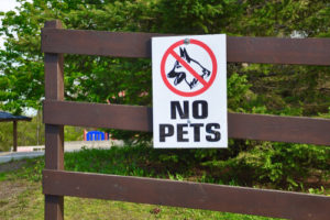 Houston Dangerous Dog Bite Laws